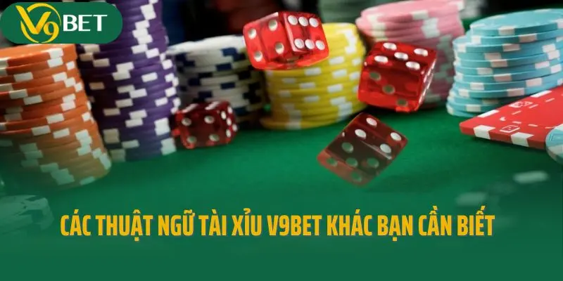 Các thuật ngữ Tài Xỉu V9bet khác bạn cần biết