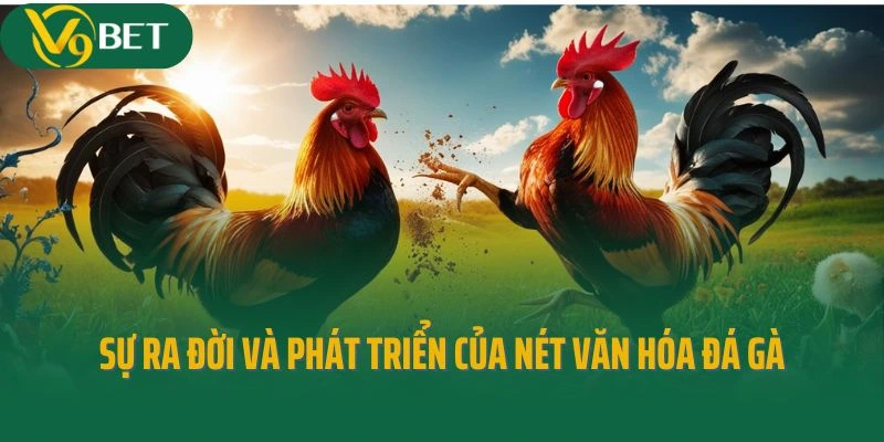 Sự ra đời và phát triển của nét văn hóa đá gà