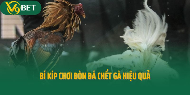 Bí kíp chơi đòn đá chết gà hiệu quả