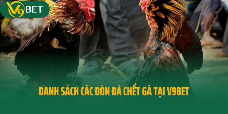 Danh sách các đòn đá chết gà tại V9bet