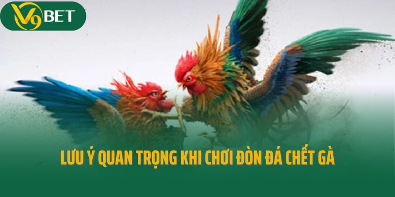 Lưu ý quan trọng khi chơi đòn đá chết gà
